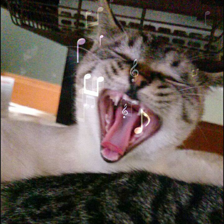 E083a1c4 1573 4ea1 baf4 8b22db421786