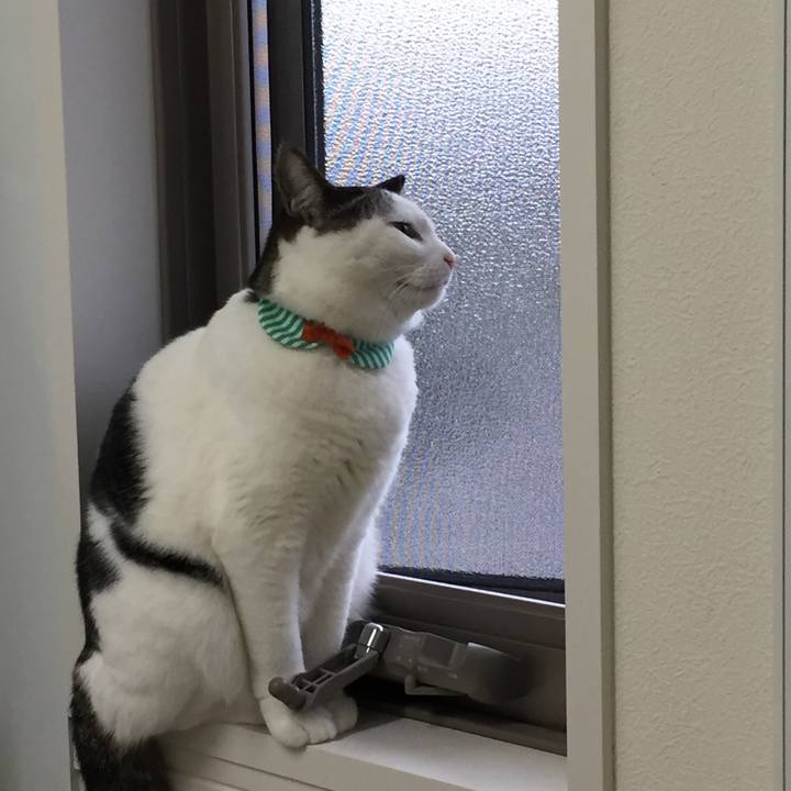 E084049c 2a98 4263 8255 54697929db5c