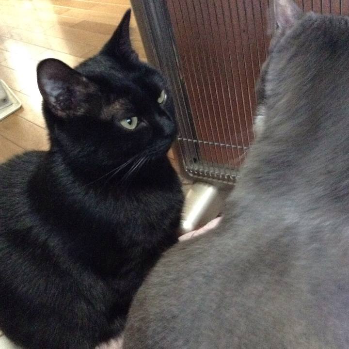 E0850b73 b50f 4265 aab9 a16d0fb3b62a