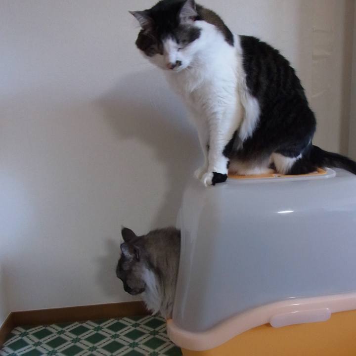 E085a4a8 9c87 4bfb 9105 42f320267a9b