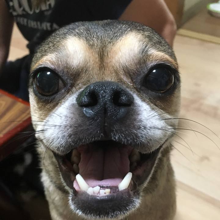 E08622d7 6505 4d35 aac5 c9a4a91dc9b5