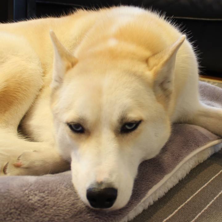 E088423e 09b9 4bdc 90bf 5a6c99c0b302