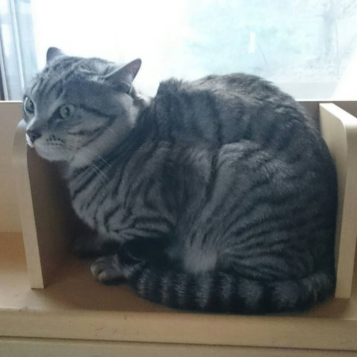 E08855ab 188f 4d43 8877 94598eb92933