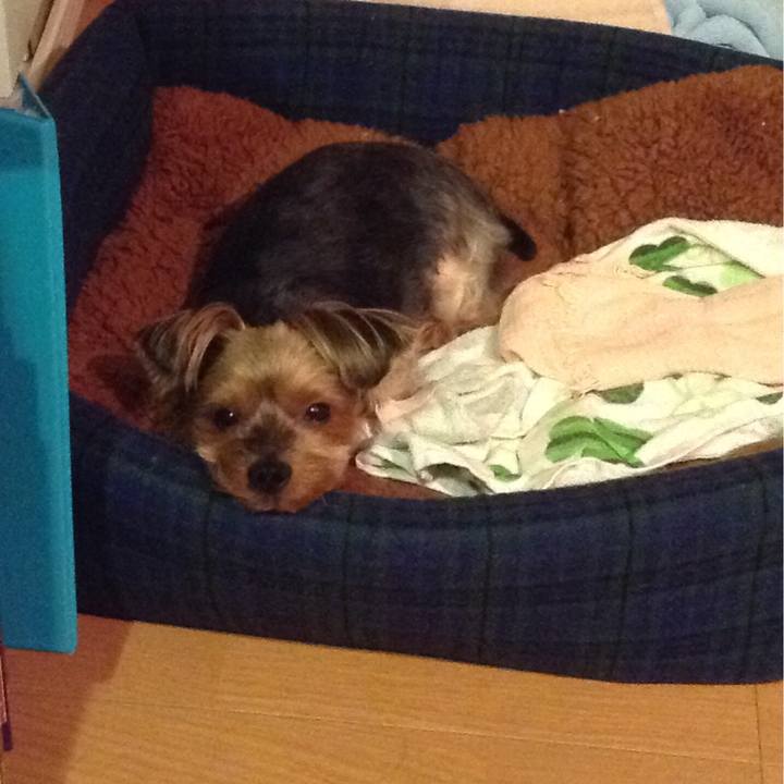 E08876ba 207d 4230 84c1 fc544eba3dde