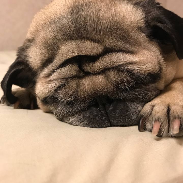 E0888b05 1e14 44e3 ba87 dc00103cca90