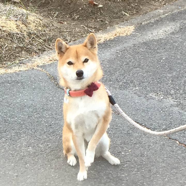 E088a10e 5f22 4c4d a56e 0508b28612d8