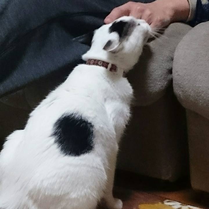 E0893ddc 74b0 4689 b6a5 dc481316c2e8