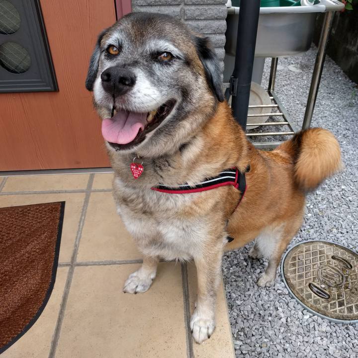 E0893f2a 89d6 40dc 9237 58416e790c94