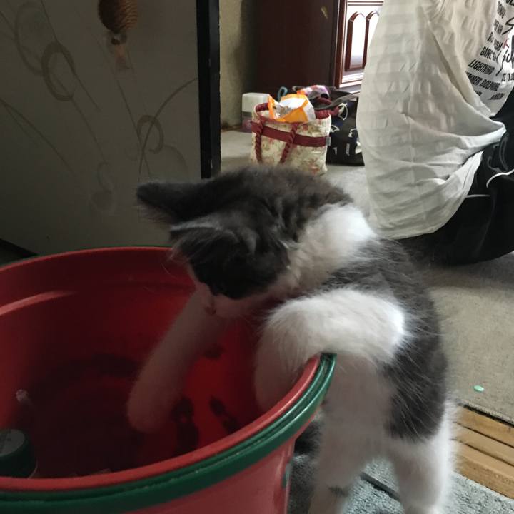 E08a1118 3147 411a a9f6 962e96d42a1a