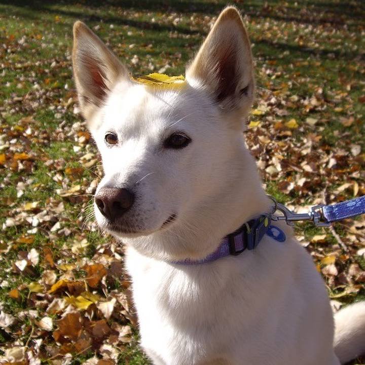 E08a47d7 50b5 449f b206 d29769ef34c4