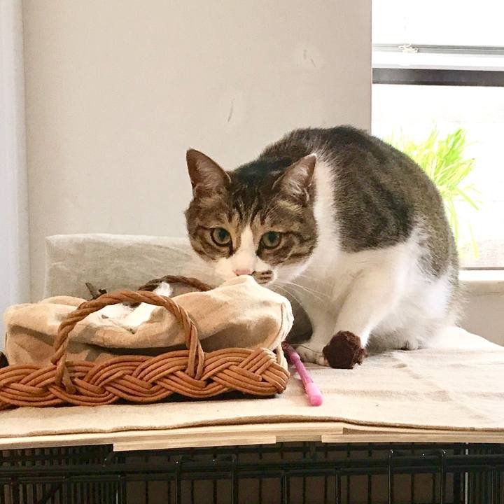 E08ab304 cc41 4268 b26a eb2c9d897555