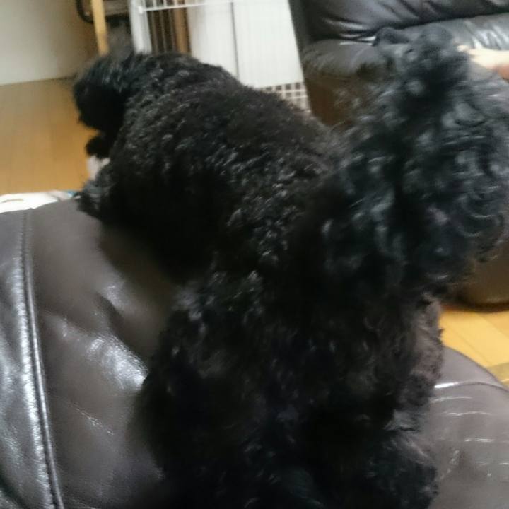 E08abd0a 8e1b 445f ba92 c6f43be34281