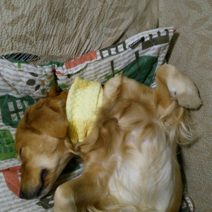 E08bc903 2b2b 4a29 9ede e89a9f145ff1