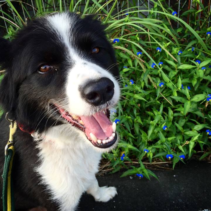 E08beb8e 96e1 4c1f aa8f 373961600030