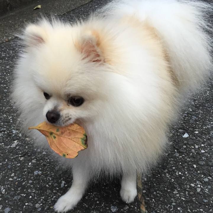 E08c19e4 a1a2 4b40 aafa d55372da2ca5