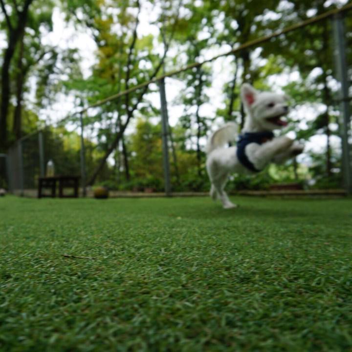 E08c41f3 eaac 4e5b b941 a7bf65535658