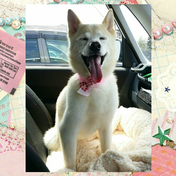 E08c6929 c515 485d 81e2 5e49cc6f629a