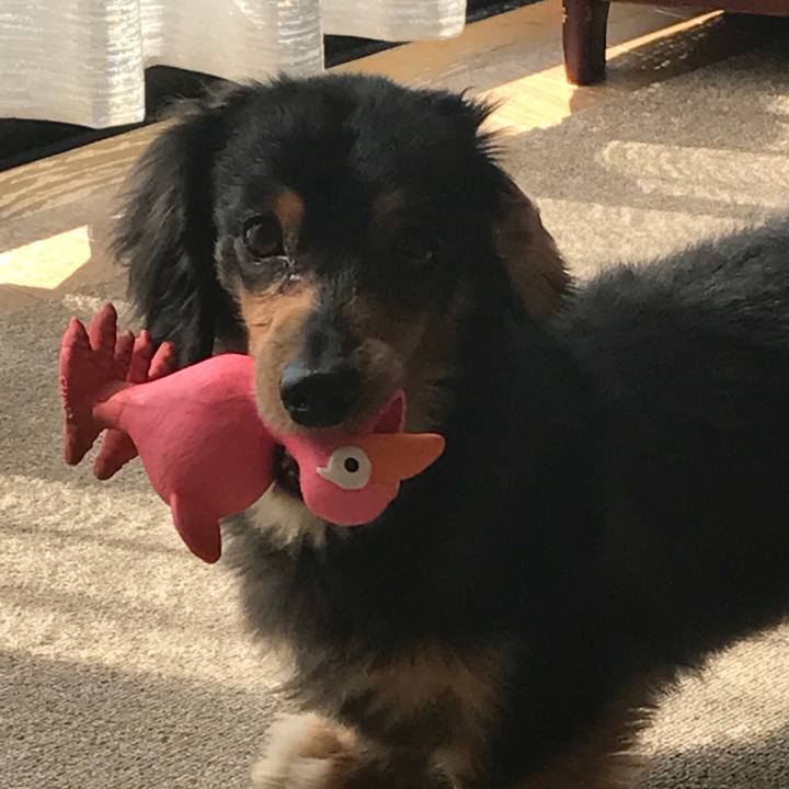 E08cd513 29cf 43f2 b99f a8ead5eab959