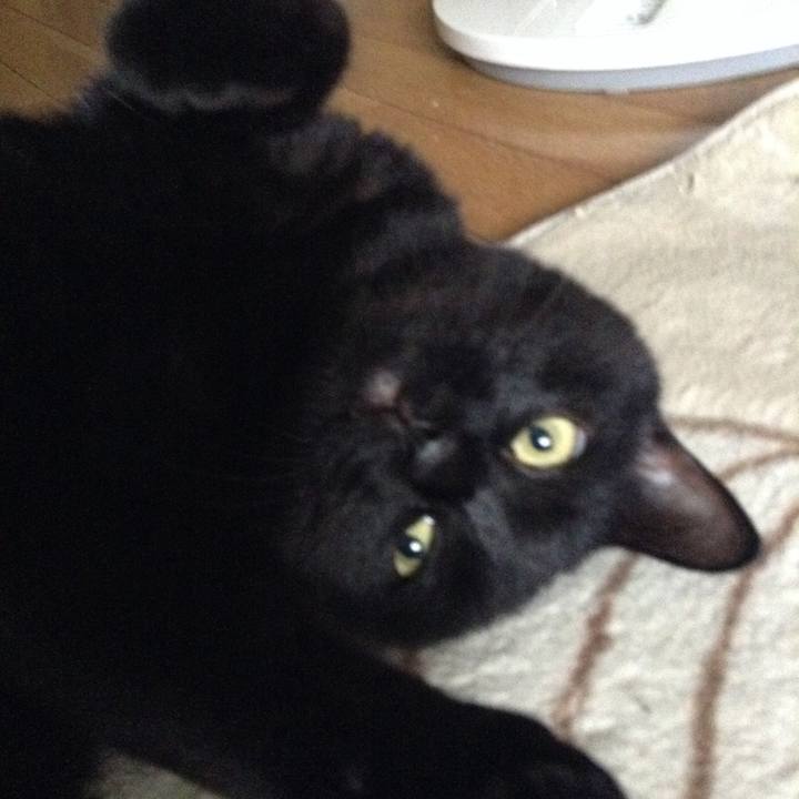 E08cd5e4 55d4 4240 90cd 315f04bcb37d