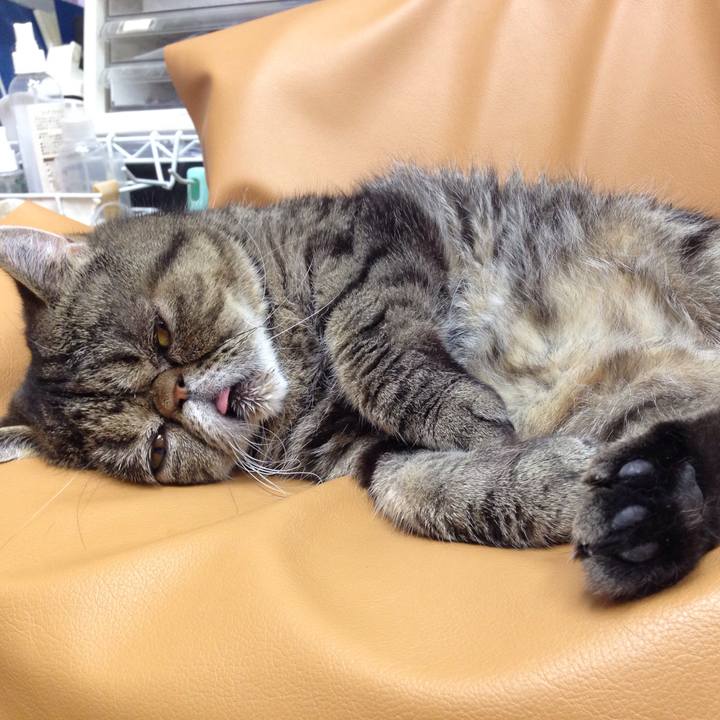 E08d45c3 3754 41e1 bae4 6585c583421f