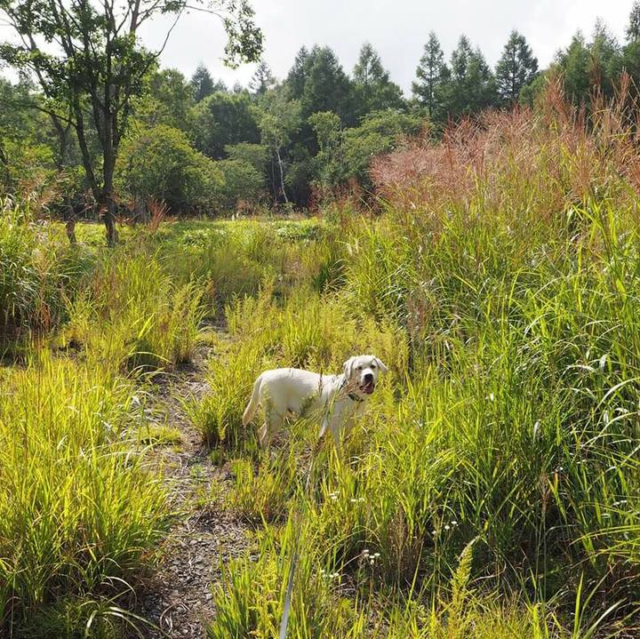 E08d69bc 9d50 45dc 930c cf5429900b18