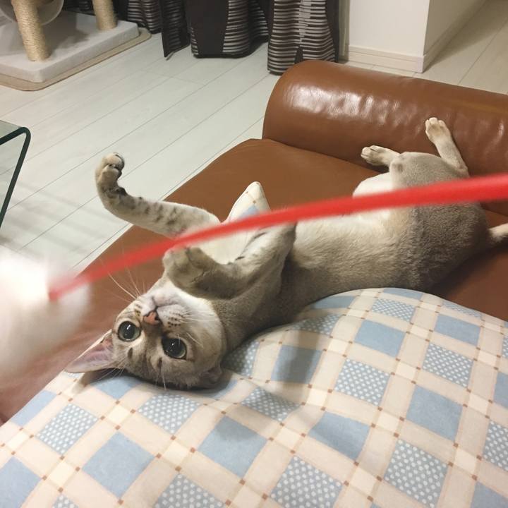 E08d85db e284 4751 bd23 692ebc70923b