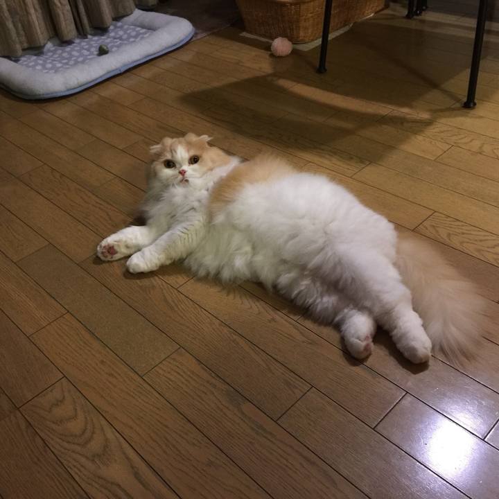 E08e3e3c 2138 4cea a93d 4b9dd1553d53