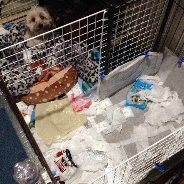 E08e81d8 e073 4dd5 bc2b b9d60ccfaf92