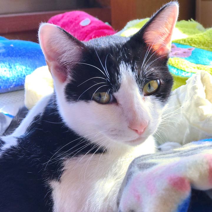 E08e8cfb c5ac 4489 be83 7f72f9449a61