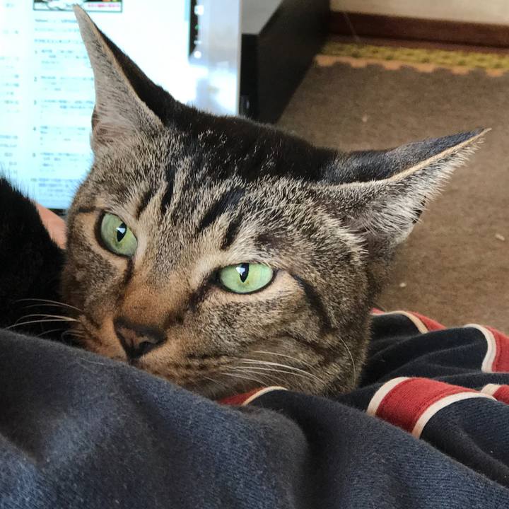 E08e8ed1 db3d 4d67 9378 bf9c218850ce