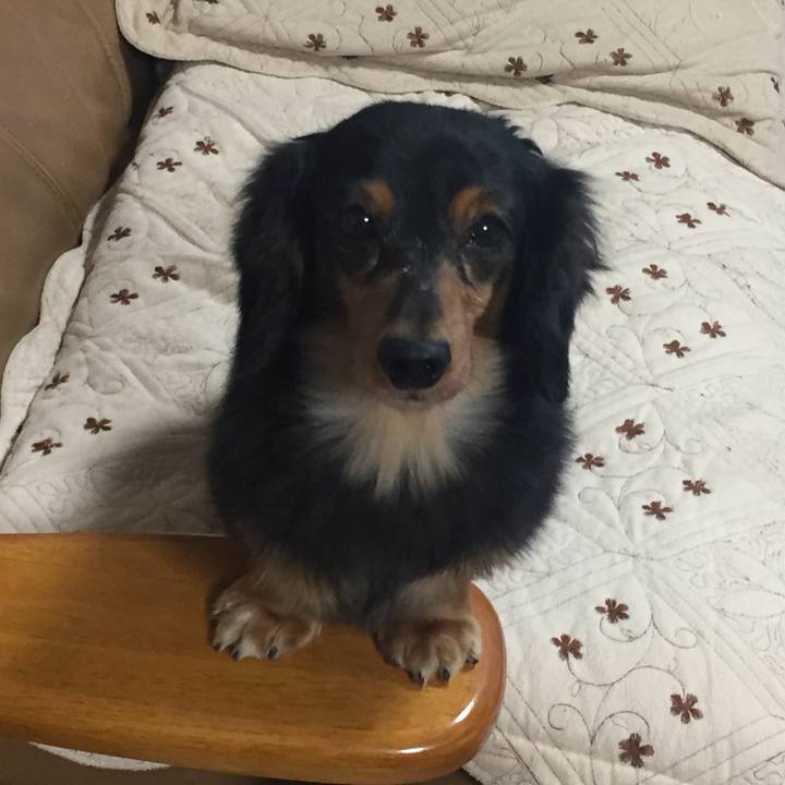 E08f20aa e389 4cb7 a3ac 6f93b0568cd4