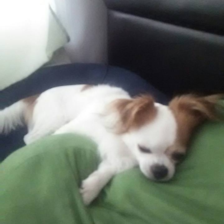 E08f4c4d 4669 497c a84b 0e8431de4542