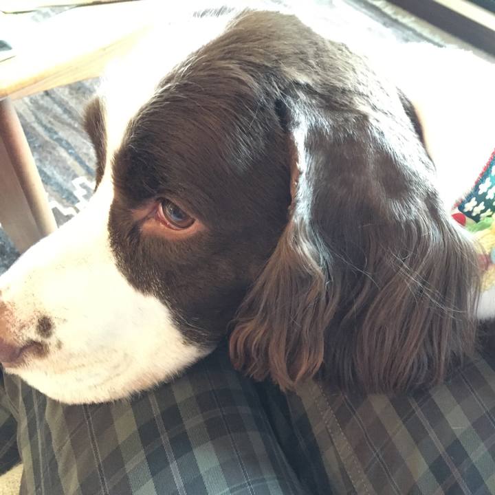 E0904c54 a86e 4e61 93e0 af33530691c1