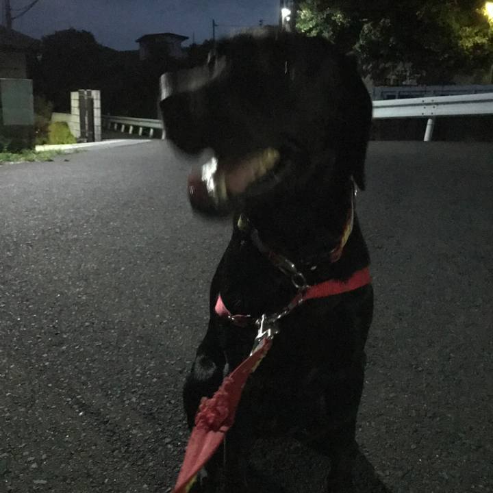 E0909cc4 5e53 4632 834d 89355eda636e