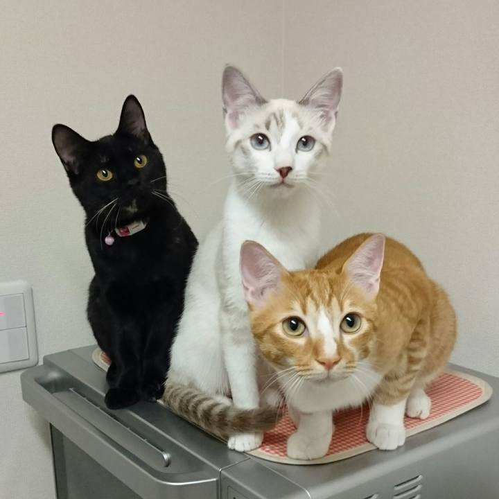 E092633e 391d 4805 bb57 abcf5031fde0