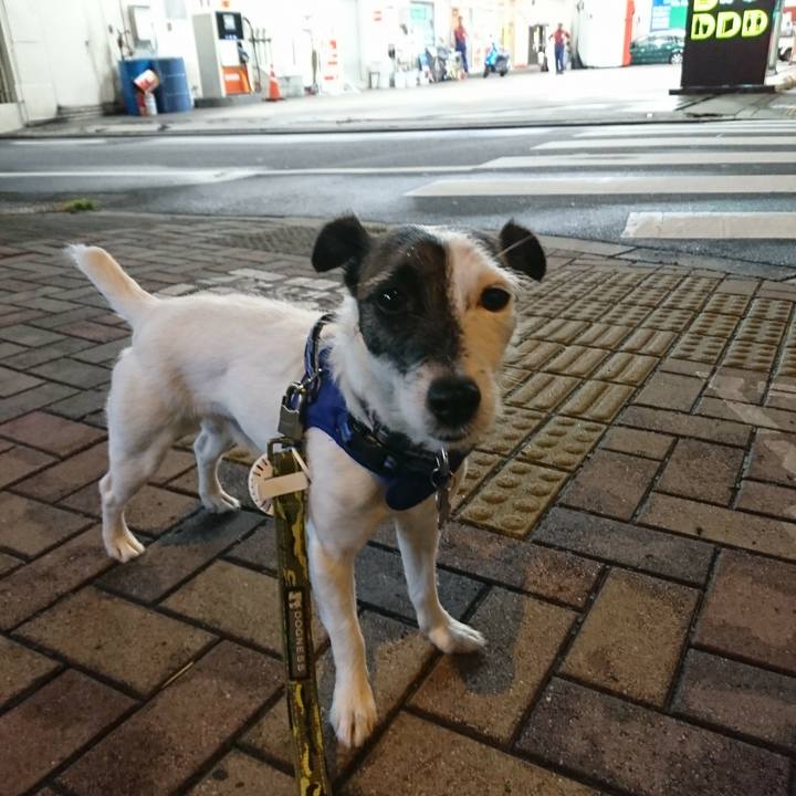 E09271f2 cde3 45ee 9d18 76f33a655d76