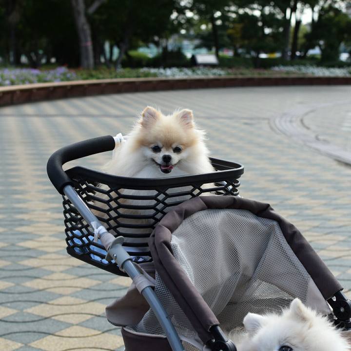 E092ab45 75d0 4c9e a43f cb824db00577