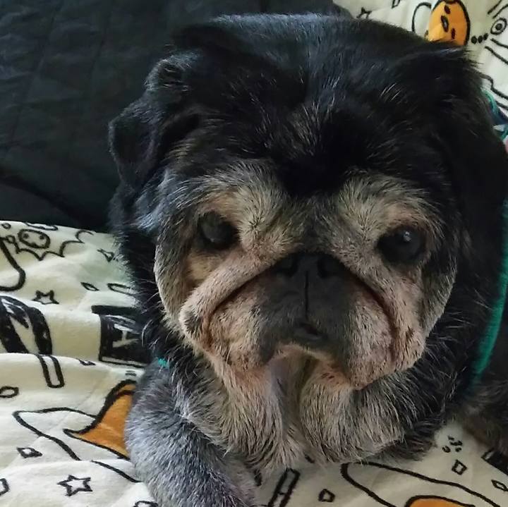 E0937246 6e10 41a5 a4a2 b6f1c83f4959