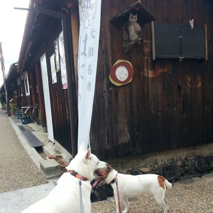 E0944b03 7305 4e9f 9e43 d3e64114fb05