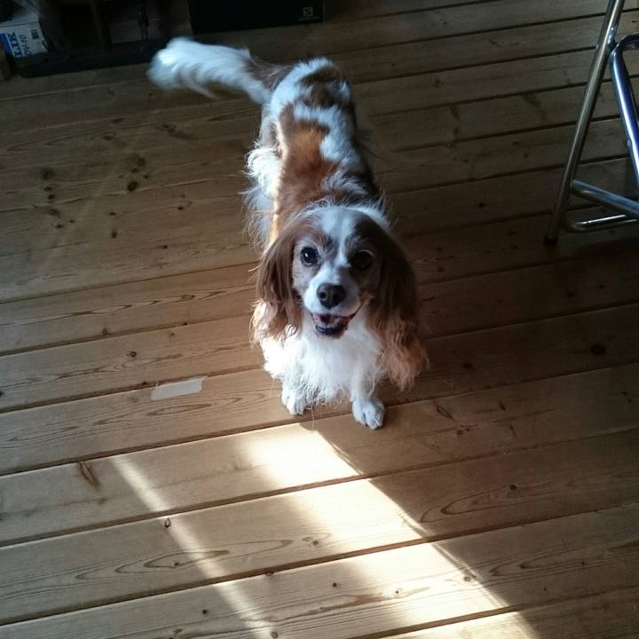 E0946ffe fe27 432c 9f4f 37f2bc87c62e