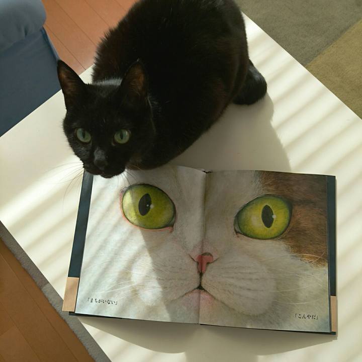 E094f12c 8191 485f 8678 c450c196f5c7