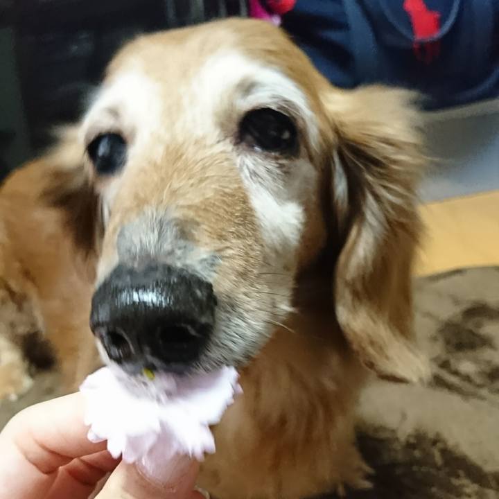 E09540b3 af02 4873 8e6b 9b1e3528182d