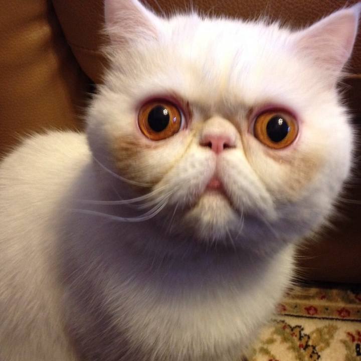 E09546fb 9586 4a32 b179 011a826ac33b