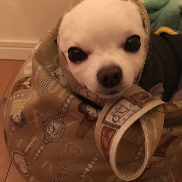 E0959690 10c2 4d4b ad9a ed1717bf0a6d