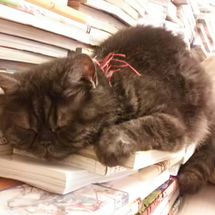 E095a81e c289 4bfd adae 78285292ded7