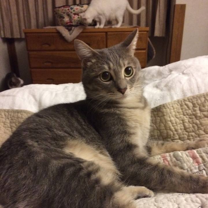 E095acd6 85c7 40b3 8fb7 e94bca435136