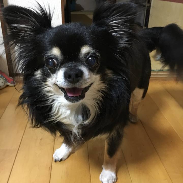 E095ed36 5c13 4b42 a3f2 f666dfbcaa55