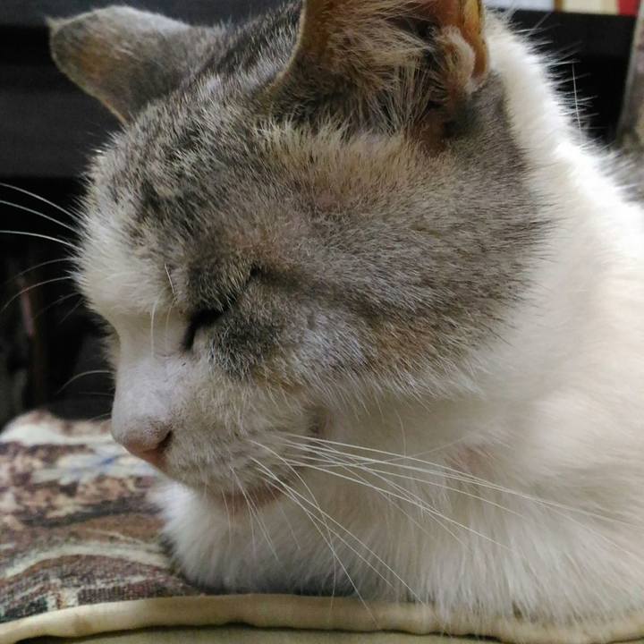 E0968ab2 f0d7 484f 9029 1c5e4b1c8dca