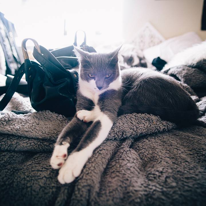 E096d915 2679 4ec9 9857 e8d87c4b61db