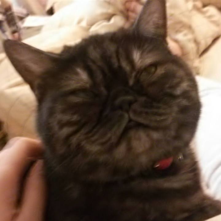 E0971a6e 2121 43a1 8275 4ad38b670e70